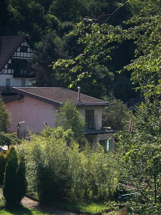 Ferienhaus Waldbaden Im Nationalpark Eifel- Am Bach Schleiden Εξωτερικό φωτογραφία