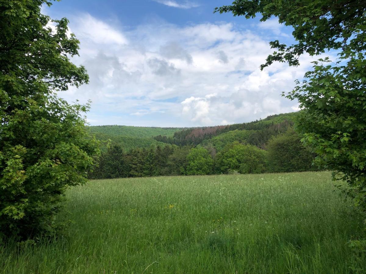 Ferienhaus Waldbaden Im Nationalpark Eifel- Am Bach Schleiden Εξωτερικό φωτογραφία