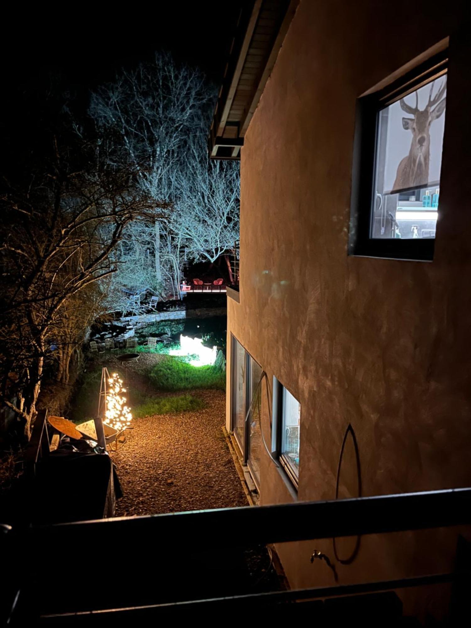 Ferienhaus Waldbaden Im Nationalpark Eifel- Am Bach Schleiden Εξωτερικό φωτογραφία